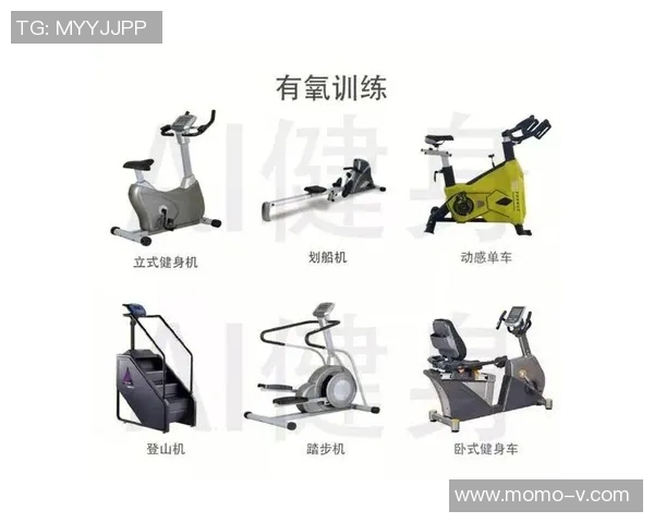 腹部训练必备健身器材使用技巧